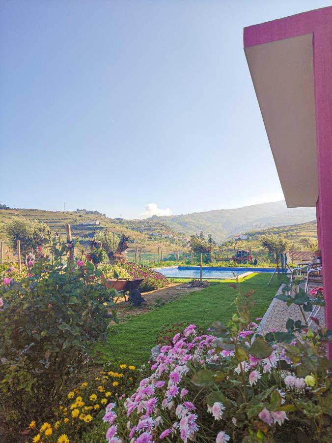 Quinta Dos Padrinhos - Suites In The Heart Of The Douro 拉梅戈 外观 照片