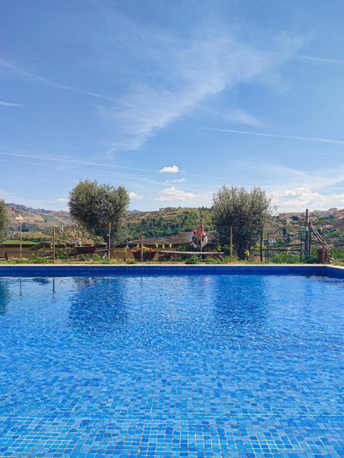 Quinta Dos Padrinhos - Suites In The Heart Of The Douro 拉梅戈 外观 照片