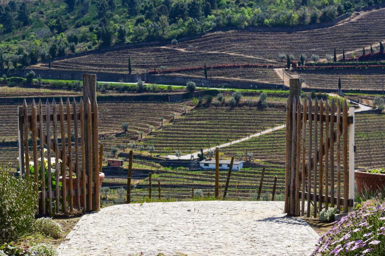 Quinta Dos Padrinhos - Suites In The Heart Of The Douro 拉梅戈 外观 照片