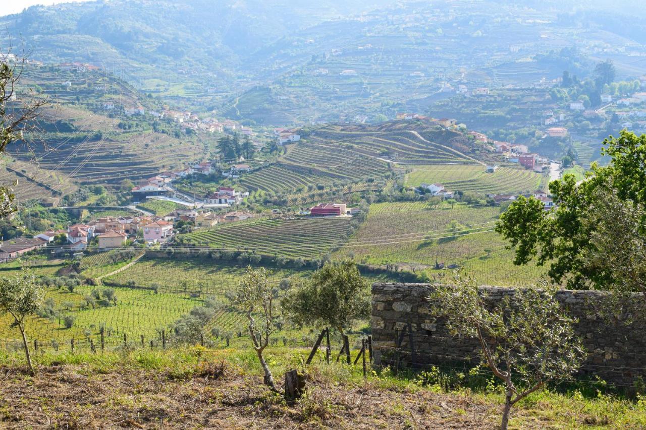 Quinta Dos Padrinhos - Suites In The Heart Of The Douro 拉梅戈 外观 照片