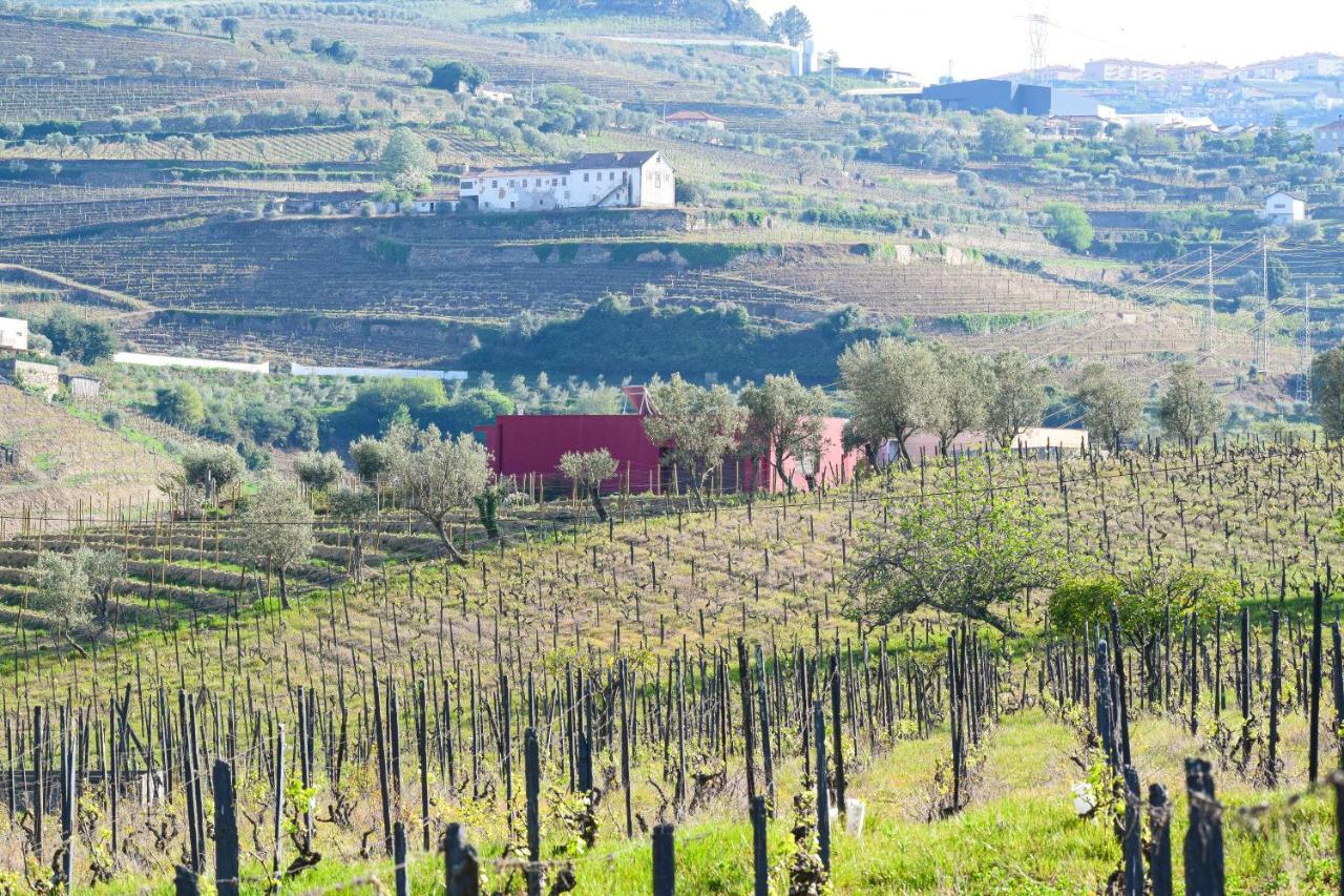 Quinta Dos Padrinhos - Suites In The Heart Of The Douro 拉梅戈 外观 照片