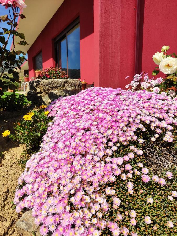Quinta Dos Padrinhos - Suites In The Heart Of The Douro 拉梅戈 外观 照片