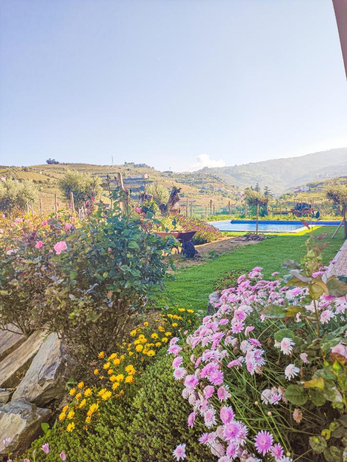 Quinta Dos Padrinhos - Suites In The Heart Of The Douro 拉梅戈 外观 照片