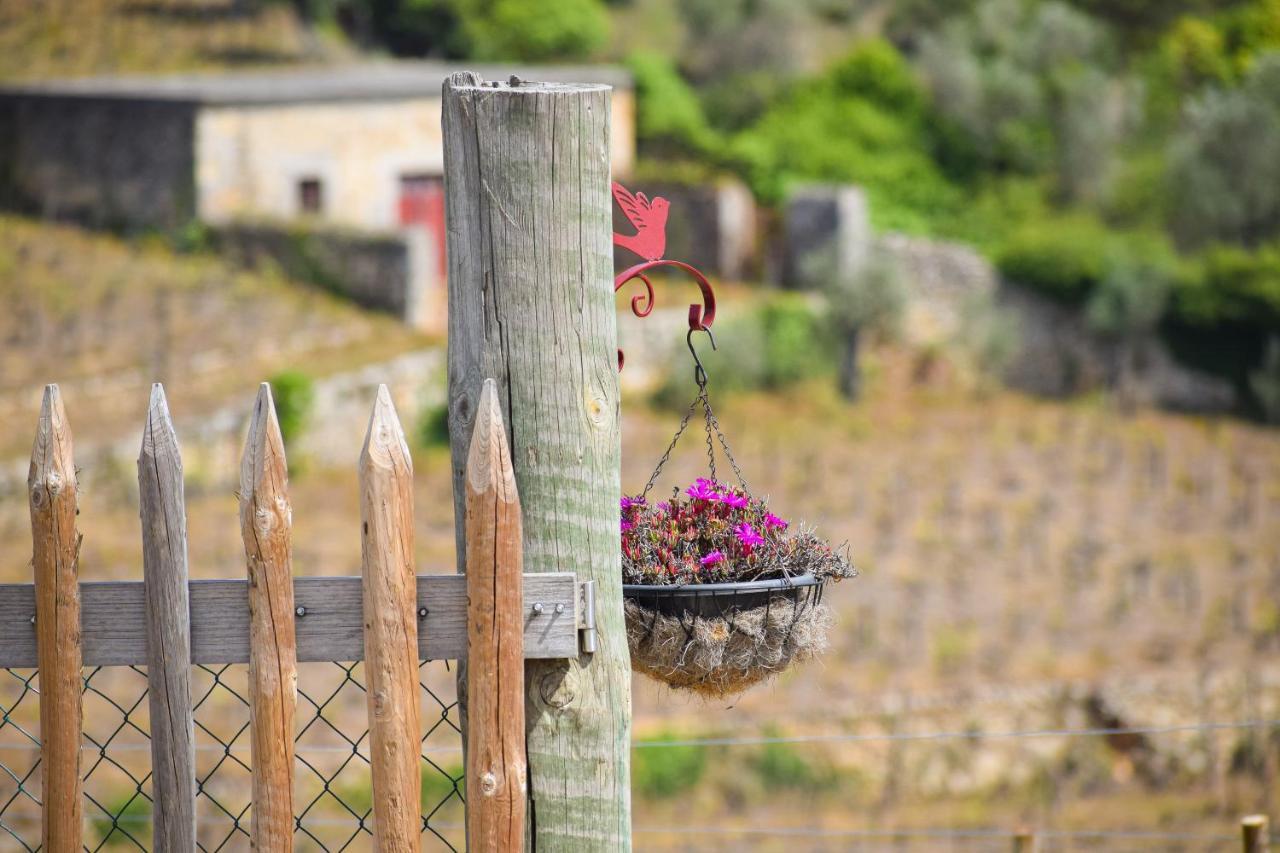 Quinta Dos Padrinhos - Suites In The Heart Of The Douro 拉梅戈 外观 照片