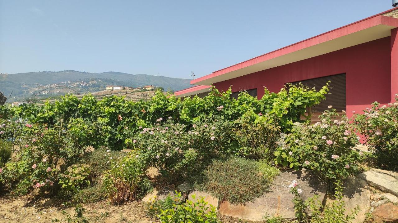 Quinta Dos Padrinhos - Suites In The Heart Of The Douro 拉梅戈 外观 照片