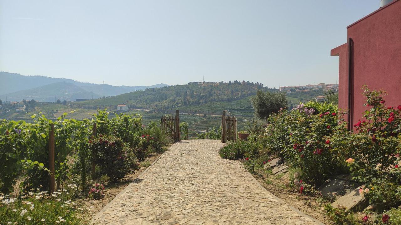 Quinta Dos Padrinhos - Suites In The Heart Of The Douro 拉梅戈 外观 照片