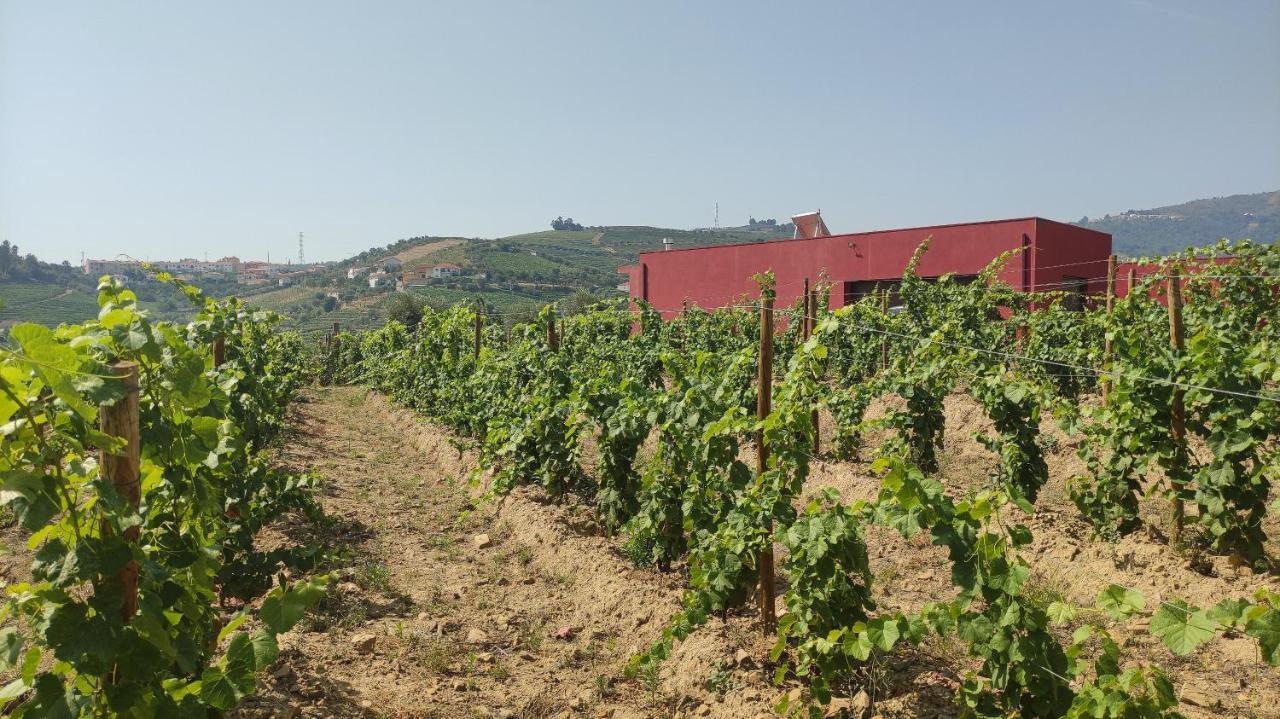 Quinta Dos Padrinhos - Suites In The Heart Of The Douro 拉梅戈 外观 照片