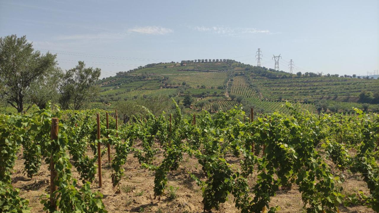 Quinta Dos Padrinhos - Suites In The Heart Of The Douro 拉梅戈 外观 照片
