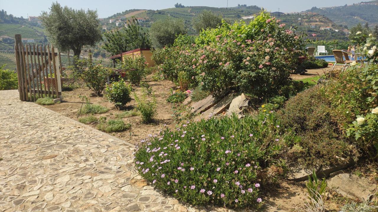 Quinta Dos Padrinhos - Suites In The Heart Of The Douro 拉梅戈 外观 照片