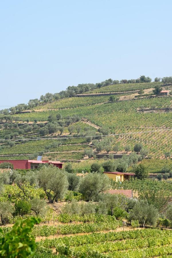 Quinta Dos Padrinhos - Suites In The Heart Of The Douro 拉梅戈 外观 照片